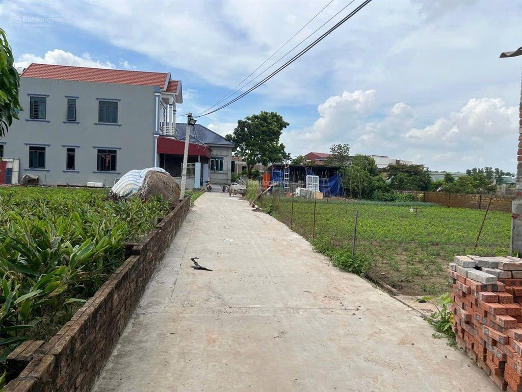 Bán đất cổng trường minh tân lương tài dt 83.5m2 mt hậu 5m ô tô thông 100m ra cổng trường c1 c2