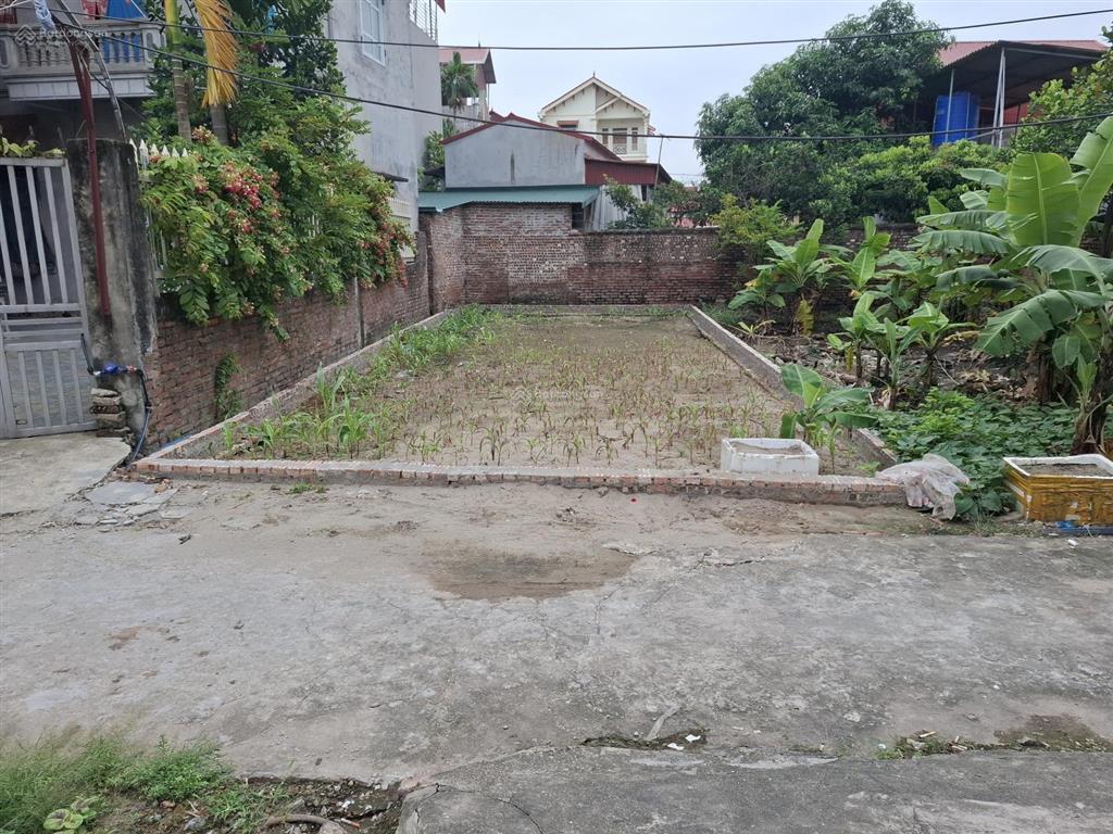 Đất an bình phường mão điền dt 96m2 mt 5m6 ngõ 3.5m. ô tô vào dân cư đông đúc tiện ích vô vàn