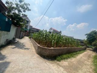 Sốc chủ cần tiền giá nào cũng bán dt 141m mt 9m ngõ 4m ô tô vào dân cư đông gần chợ dâu đô tpmh