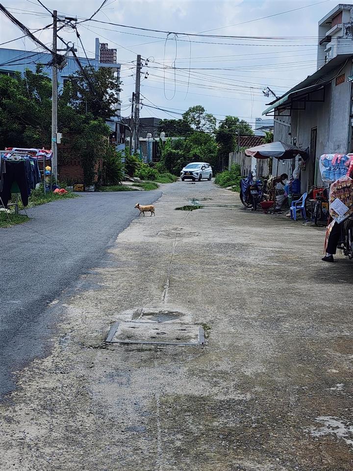 Bán gấp lô đất thổ cư đường trung đông 7, hóc môn, diện tích 5 x 18m, giá 3,4 tỷ