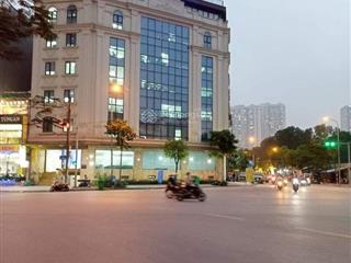 Siêu hiếm. tòa văn phòng 11 tầng diện tích 120m2 phố lê đức thọ. giá đầu tư