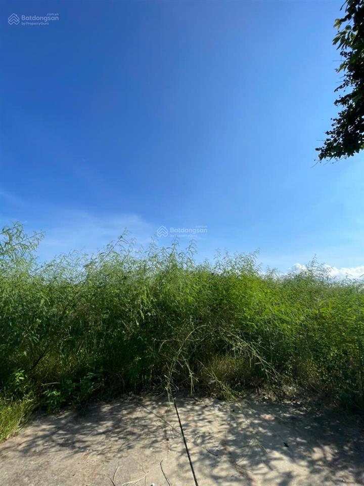 Bán ô bt góc vườn hoa mặt hồ hùng thắng  bãi cháy.  0915 069 ***