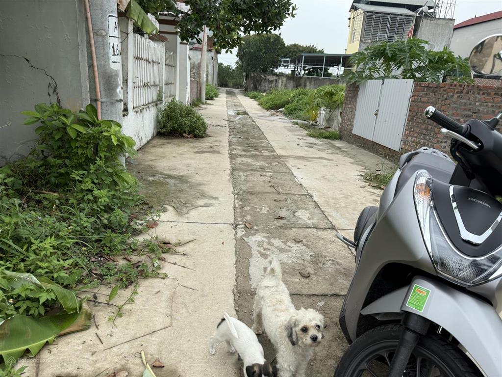 Cần bán đất tổ 10 quang minh mê linh
