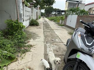 Cần bán đất tổ 10 quang minh  mê linh