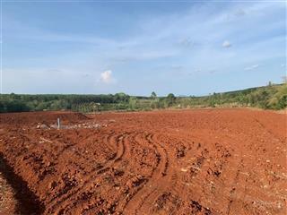 Chủ kẹt tiền hạ giá 10 tỷ bán gấp 3,5 ha đất cẩm mỹ đồng nai, rẻ hơn thị trường chưa tới 1tr/m2