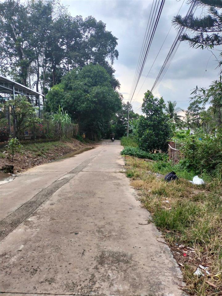 Bán 3669m2 có 300m2 thổ cư, 1/ vành đai 3, xã phú thạnh