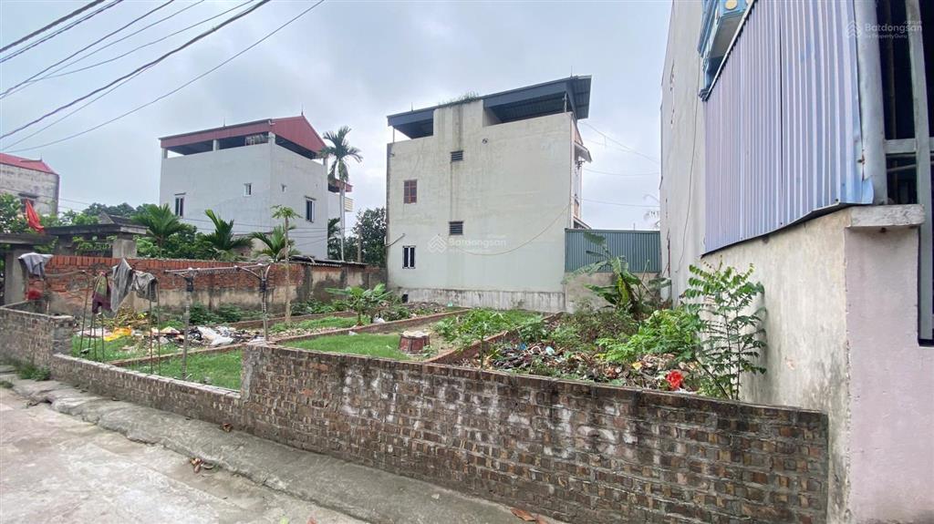 Bán gấp lô đất 60m2 tại nguyên khê, đông anh giá tốt khó tìm!
