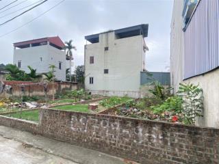 Bán gấp lô đất 60m2 tại nguyên khê, đông anh giá tốt khó tìm!