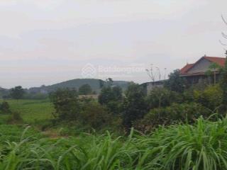 Siêu phẩm đất vàng nghỉ dưỡng kim bôi cạnh dự án sungroup 1250m chỉ nhỉnh 2 tỷ