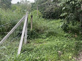 Bán đất phú an, bến cát dt 6x20m (nở hậu 6,5m) thổ cư 60m2