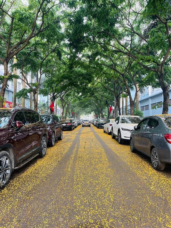 Căn hộ 2pn full nội thất tại ecohome 1, 4 tỷ, 64,5m2, view đẹp