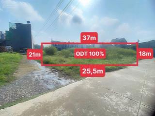 Bán đất tại xã mỹ hạnh nam, đức hòa, long an, 12,5 tỷ, 610m2
