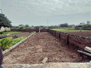 Hơn 30 triệu/m2 đất thư phú  thường tín cách trục chính 30m. 0788 335 ***