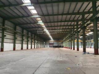 Cho thuê 5 nhà xưởng gần kcn vsip 2 mở rộng, kcn mỹ phước 3 tân uyên, 3200m2, 4500m2, 5800m2