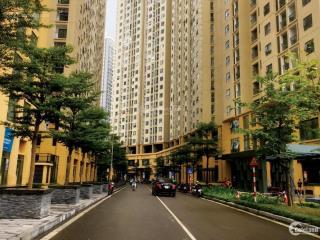Chính chủ bán cc new horizon city  87 lĩnh nam, 95m2, 3pn, 2wc, q.hoàng mai, hn.  o848123626