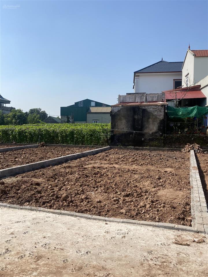 Bán đất đất f0 phân lô, xã tự nhiên, s=82m2, cạnh dự án vin, ngõ ô tô tránh, 50m ra đường nhựa