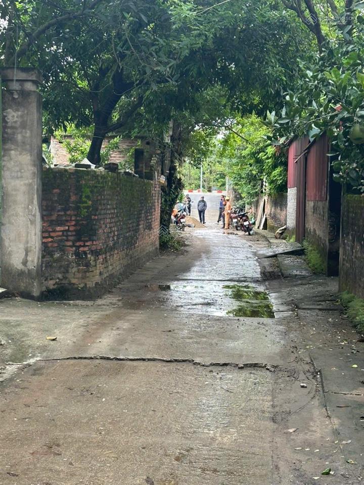 Bán đất đất f0 phân lô, xã tự nhiên, s=82m2, cạnh dự án vin, ngõ ô tô tránh, 50m ra đường nhựa