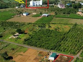 Chính chủ gởi bán diện tích 1.030m2 (200m2 odt) tại xã đambri  thành phố bảo lộc  lâm đồng