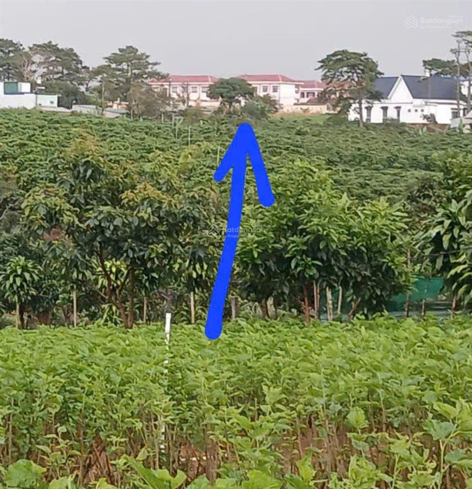 Chính chủ gởi bán diện tích 1.030m2 (200m2 odt) tại xã đambri  thành phố bảo lộc  lâm đồng