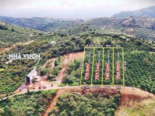 Chỉ 940 tr sở hữu ngay 757m2 thiên đường săn mây đồi bát úp tại xã bảo lâm 3 (lộc thành), bảo lâm