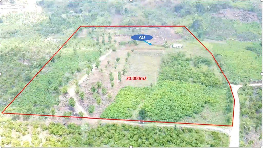 Bán đất chính chủ 5 tỷ cho 19.842m2 (gần 2ha) xã liên hà lâm hà (xã tân hà lâm hà mới) lâm đồng