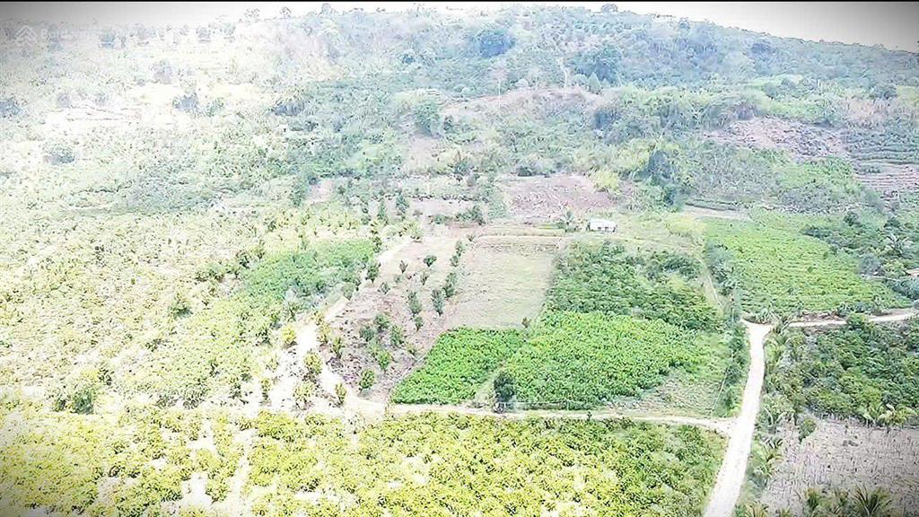 Bán đất chính chủ 5 tỷ cho 19.842m2 (gần 2ha) xã liên hà lâm hà (xã tân hà lâm hà mới) lâm đồng