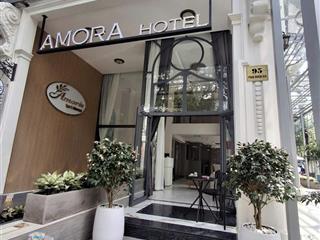 Chào mừng đến với amora hotel  phú mỹ hưng, quận 7