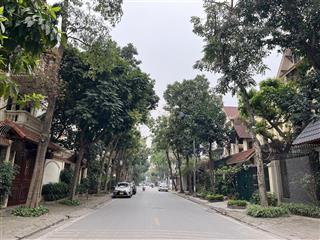 Bán gấp biệt thự kđt định công  trần điền vị trí cực đẹp thuận lợi duy chuyển 150m mặt tiền 10m