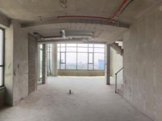 Bán duplex ziet river thủ thiêm 164m2 view về sala thủ thiêm 53 tỷ all in thanh toán đến t3 2026
