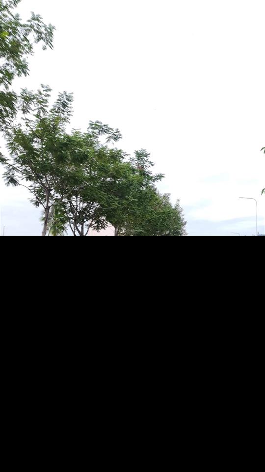 Bán gấp nhà mặt tiền nguyễn hoàng, an phú, quận 2  dt 8x20m  5 tầng st  giảm mạnh về 45 tỷ