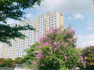 Bán căn hộ sunview town thủ đức gần ql13 và phạm văn đồng sẵn sổ hồng 2 phòng ngủ bàn giao nhà ngay