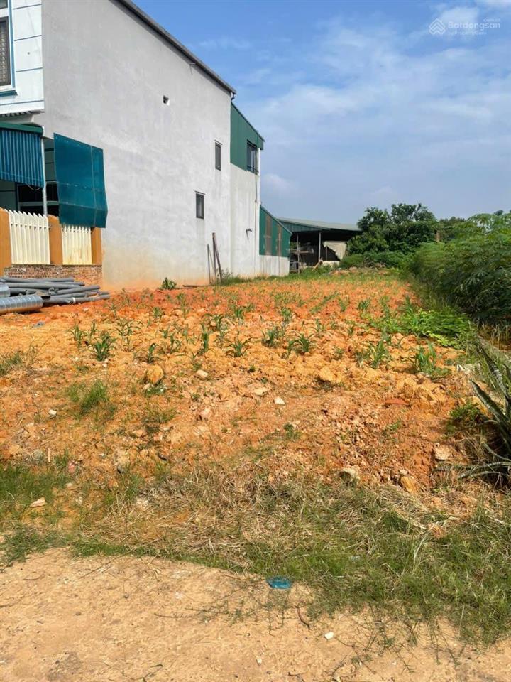 Đất chính chủ thuộc xã hà lộc, thị xã phú thọ, liền thổ, đường ô tô, sát khu cn phú hà, 172.4m2