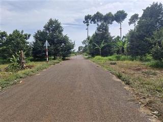 1.000m2 full sầu riêng 22 x 47m, láng lớn đường nhựa, cách đường mỹ xuân  ngãi giao 400m