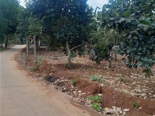 1.911m2 mặt tiền 68m có 300m2 thổ cư, bàu chinh, châu đức, bà rịa vũng tàu