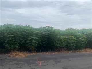 3.000m2 có 300 láng dài, đất đỏ, cách biển lộc an 5 phút, cách biển hổ tràm 10 phút 0357 762 ***