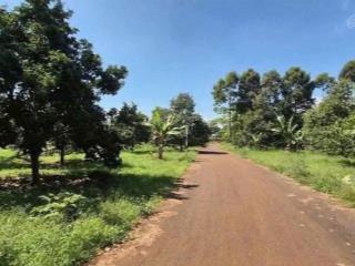 Bán đất tại láng lớn, châu đức, bà rịa vũng tàu, 1,7 tỷ, 1000m2