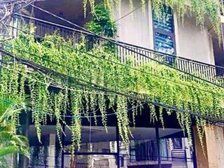 Sát đèn xanh đỏ đặng vu hy dt 167m2 giá 24ty thương lương