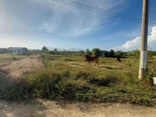 Siêu phẩm đất lô góc 2 mặt tiền hàm thuận bắc, giá rẻ nhất khu vực, 3380m2, thực tế gần 5000m2