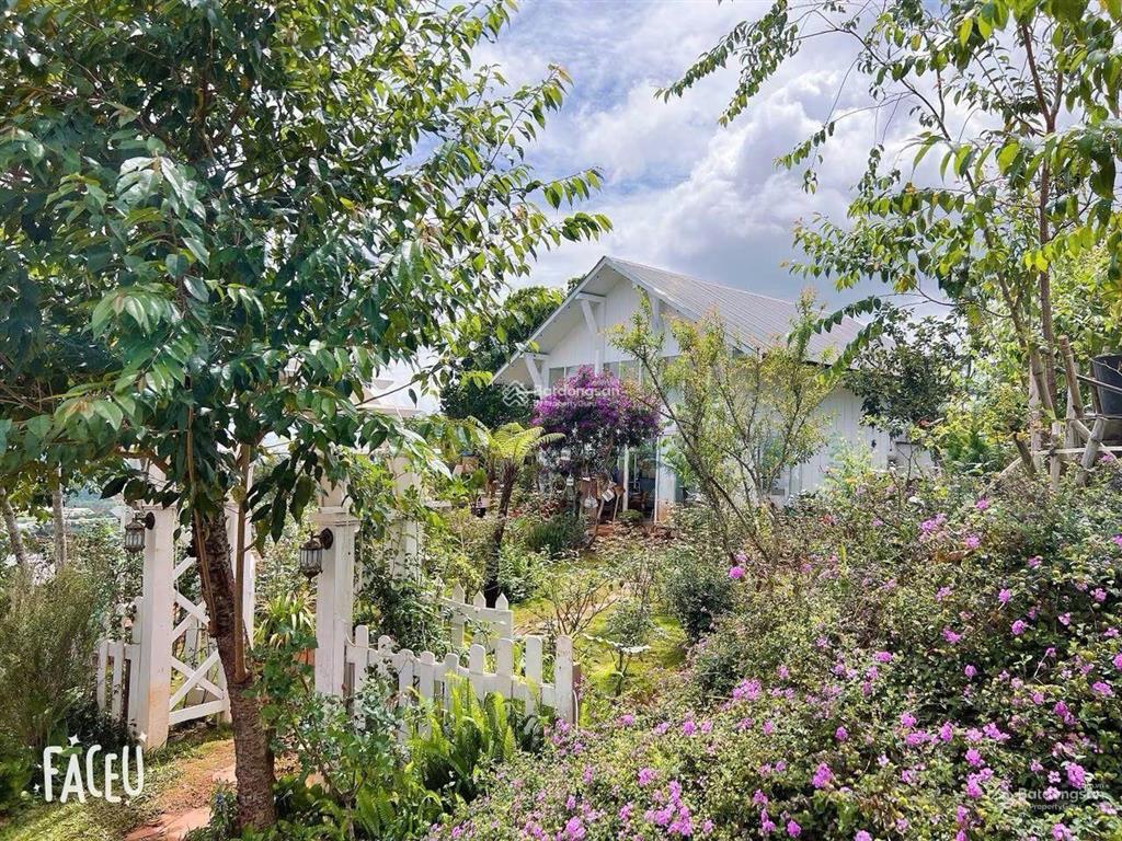 Định cư nước ngoài bán gấp lô đất 322m2 có sẵn nhà vườn nghỉ dưỡng tại phường 11, đà lạt