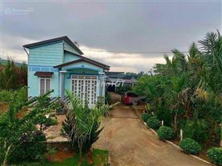 Chuyển nhà nên cần bán lỗ gấp lô 20x48m, 960m2 có thổ cư, sẵn nhà cấp 4 ngay trung tâm