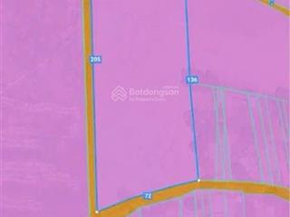 Chủ gửi lô đất siêu phẩm tóc tiên, lô đất 3 mặt tiền có sẵn 205m thích hợp phân lô, giá cực hấp dẫn