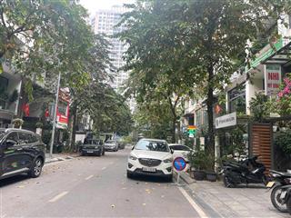 Chính chủ cho thuê hd mon city hàm nghi diện tích 100m2