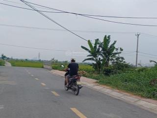 Bán lô đất sát vin hiếm có tại phong cầu đại đồng chia được 2 lô 177m2
