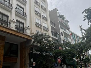 Siêu phẩm mặt phố bùi thị xuân 150m2 * 12 tầng, 2 hầm, mặt tiền 7,2m, doanh thu 4 tỷ/năm