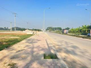 Chính chủ gửi bán lô đất đấu giá bạch đa  mê linh