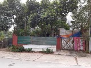 Bán đất lô góc đông ngạc  oto tránh  ngõ thông  56m  12 tỷ (2đtl121529)
