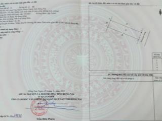 Cập nhật lô hot nhất giỏ hàng kdt mới long thọ, giá siêu đầu tư