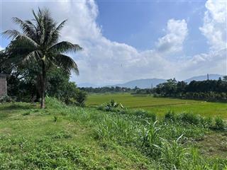 Bán lô 1340m2 có 200m2 đất ở. view cánh đồng tuyệt đẹp. vị trí trung tâm minh quang  ba vi. 2,5tỷ