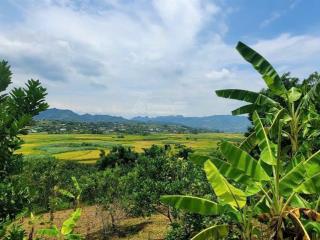 Bán đất tt hành chính dũng phong. dt 1340m có 1180m thổ cư. bám đường betong 36m. giá 1,x tỷ