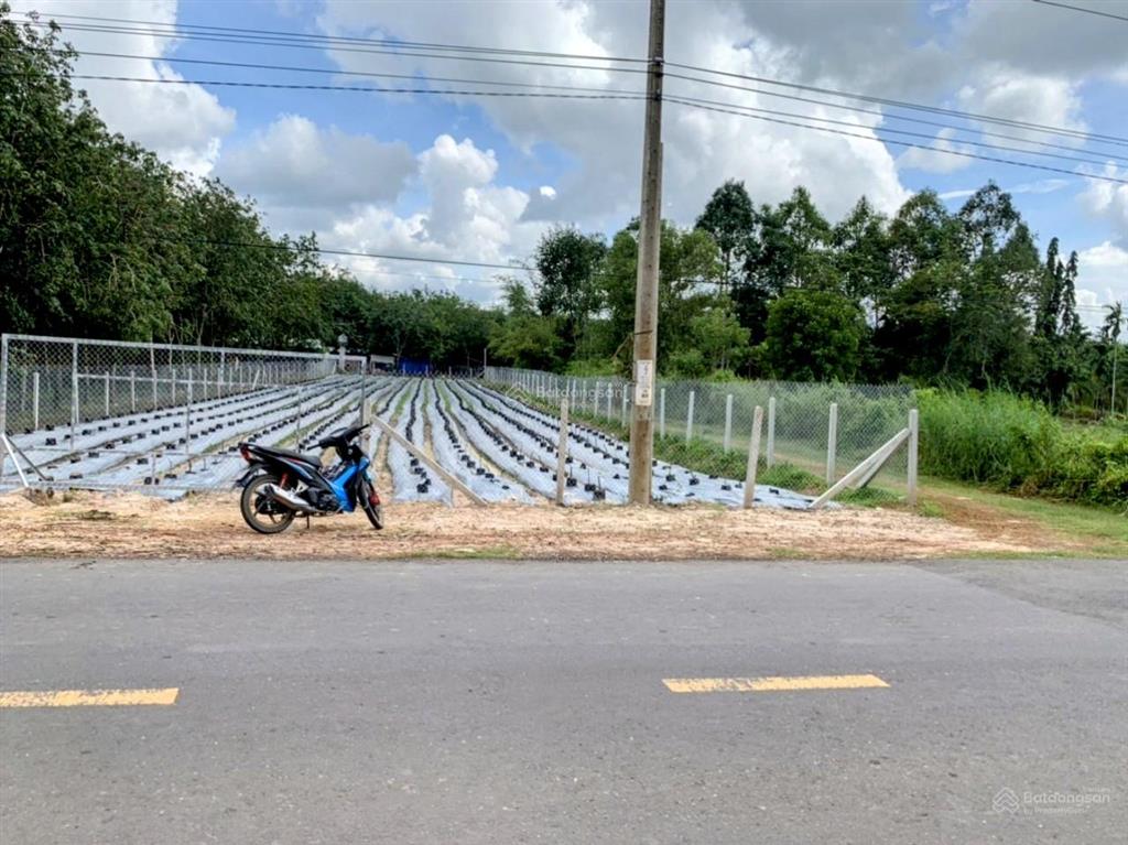 Ngộpgiảm mạnh 1 tỷ mặt tiền đt 783 nhựa 45m cực kì đẹp 1999m2, phủ hồng thổ cư toàn bộ!